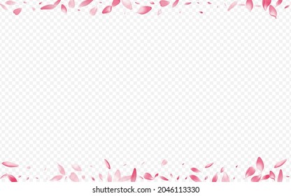 Light Floral Vector Transparent Background. Heart Springtime Poster. Petal Blur Banner. Peach Dream Illustration. White Apple Free Card.