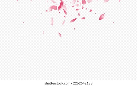 Light Floral Vector Transparent Background. Rose Flying Cover. Sakura Japan Card. Cherry Free Illustration. Purple Tree Dream Banner.