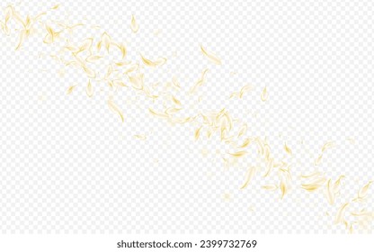 Light Flower Japanese Vector Transparent Background. White Fly Sakura Backdrop. Yellow Rose Summer Design. Gold Peach Beauty Poster. Blur Floral Template.