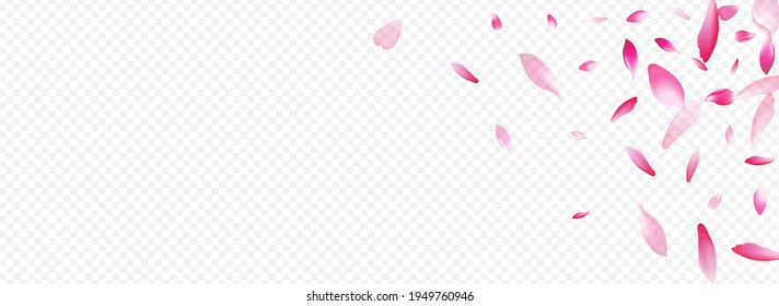Light Flower Vector Panoramic Transparent Background. Cherry Graphic Card. Leaf 3d Pattern. Peach March Congratulation. Bright Blossom Tender Texture.