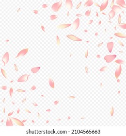 Fondo transparente del vector de flor claro. Plantilla de primavera de árbol. Portada de lluvia floreciente. Ilustración de SummerDrop de Apple. Banner De Spa Pink Lotus.