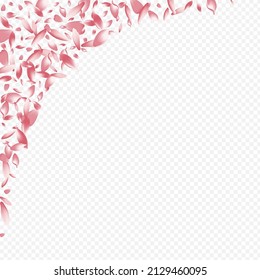 Light Flower Vector Transparent Background. Confetti Romance Template. Rosa March Poster. Cherry Invitation Backdrop. Bright Tree Beauty Illustration.