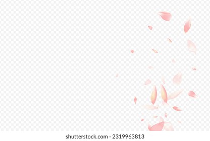 Light Flower Vector Transparent Background. Sakura Beauty Card. Lotus Nature Backdrop. Bloom Blur Cover. Color Rose Air Texture.