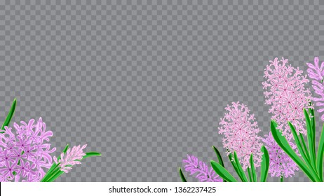 Light frame horizontal of hyacinth flowers. Watercolor vector image. Spring bouquet of hyacinths. Design element for invitations, cards, packaging.