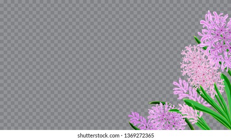 Light frame horizontal of hyacinth flowers. Design element for invitations, cards, packaging. Spring bouquet of hyacinths. Watercolor vector image.