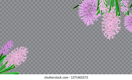 Light frame horizontal of hyacinth flowers. Design element for invitations, cards, packaging. Watercolor vector image. Spring bouquet of hyacinths.