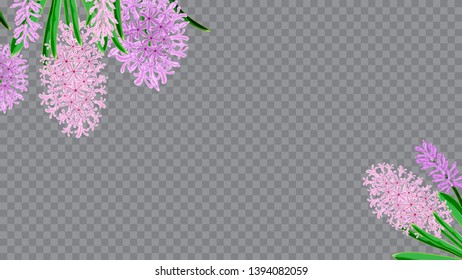 Light frame horizontal of hyacinth flowers. Spring bouquet of hyacinths. Watercolor vector image. Design element for invitations, cards, packaging.