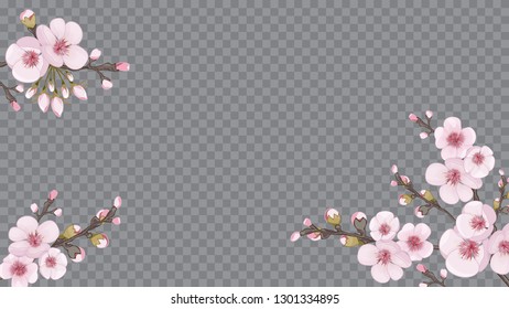 Light frame horizontal of sakura flowers. Handmade background in the Japanese style. Design element for textiles, wallpaper, packaging, printing. Pink on transparent background.
