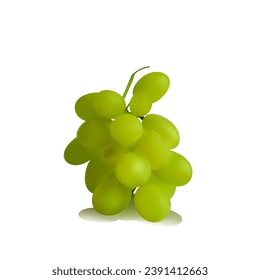 Light grapes. Fresh, nutritious, tasty grapes. A delicious and healthy dessert. Elements for label design. Fruit ingredients in mesh technique. Vector illustration.