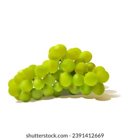 Light grapes. Fresh, nutritious, tasty grapes. A delicious and healthy dessert. Elements for label design. Fruit ingredients in mesh technique. Vector illustration.
