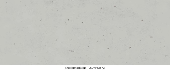 A light gray background, background with a speckled texture. The gray background has a subtle, smooth appearance with scattered specks. Minimal grunge speckled texture vector background