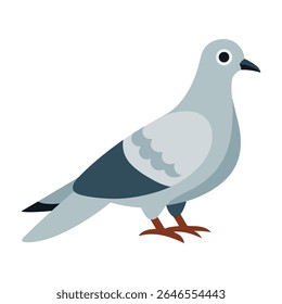 Cinza claro Pigeon pássaro ilustração azul escuro cauda