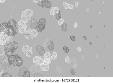 Light Gray vector abstract backdrop with flowers. Brand new colored illustration with flowers. Brand new style for your business design.