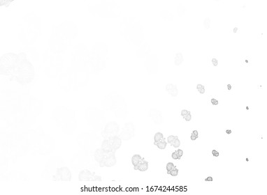 Light Gray vector abstract backdrop with flowers. Brand new colored illustration with flowers. Brand new style for your business design.