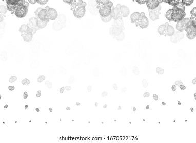 Light Gray vector abstract design with flowers. Shining colored illustration with flowers. New template for your brand book.