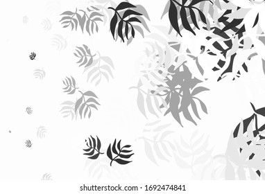 Light Gray vector abstract design with leaves. Sketchy doodles with leaves on blurred background. Hand painted design for web, leaflets.