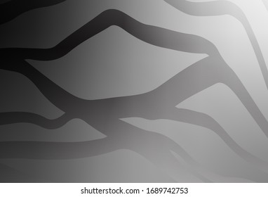 Light Gray vector abstract layout. New colored illustration in blur style with gradient. The best blurred design for your business.
