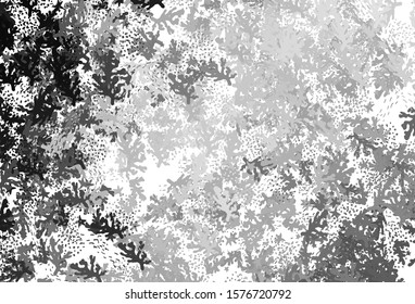 Light Gray vector background with abstract shapes. Illustration with colorful gradient shapes in abstract style. Modern design for your business card.