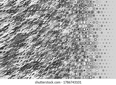 Light Gray vector background with spots, lines. Illustration with set of shining colorful abstract circles, lines. Design for your business advert.