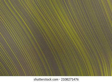 Light Gray vector colorful blur backdrop. Colorful illustration in abstract style with gradient. Background for designs.