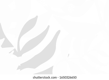 Light Gray vector doodle backdrop with leaves. Modern geometrical abstract illustration with leaves. A new texture for your wallpaper design.