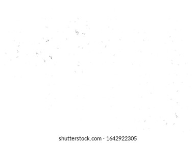Light Gray vector doodle background with leaves. leaves on elegant natural pattern with gradient. Pattern for heads of websites, designs.