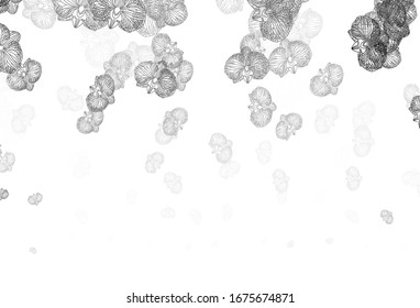 Light Gray vector doodle pattern with flowers. Decorative design of flowers on white background. Pattern for heads of websites, designs.