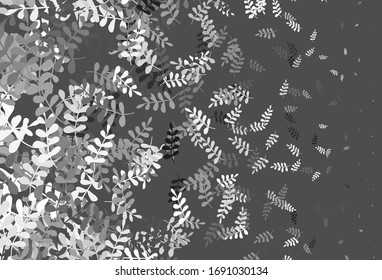 Light Gray vector doodle pattern with leaves. Colorful illustration in doodle style with leaves. New template for your brand book.
