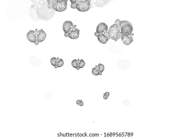 Light Gray vector doodle texture with flowers. Sketchy doodle flowers on white background. Doodle design for your web site.