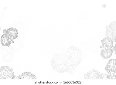 Light Gray vector elegant pattern with flowers. Creative illustration in blurred style with flowers. New design for your business.