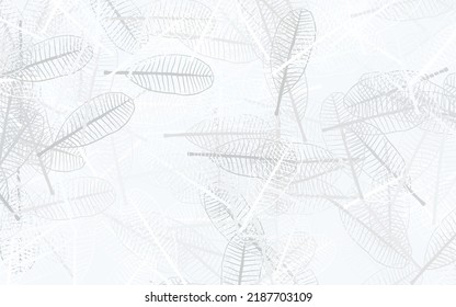 Light Gray vector elegant pattern with leaves. leaves on blurred abstract background with gradient. The best design for your business.