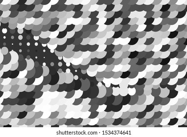 Light Gray vector layout with circle shapes. Beautiful colored illustration with blurred circles in nature style. New template for your brand book.