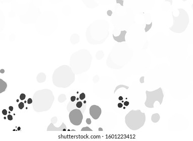 Light Gray vector layout with circle shapes. Beautiful colored illustration with blurred circles in nature style. New template for your brand book.