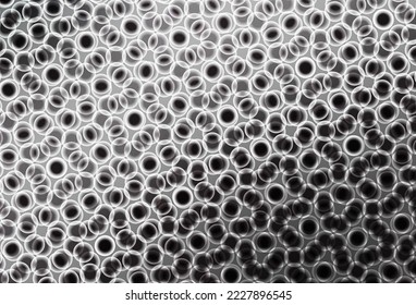 Light Gray vector layout with circle shapes. Blurred decorative design in abstract style with bubbles. Pattern for ads, leaflets.