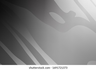 Light Gray vector modern elegant backdrop. Abstract colorful illustration with gradient. Blurred design for your web site.