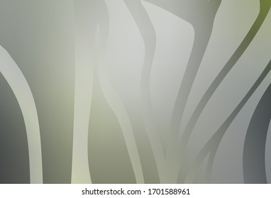 Light Gray vector modern elegant backdrop. Abstract colorful illustration with gradient. Background for designs.