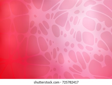 Light Gray vector natural abstract pattern. Colorful abstract illustration with lines drawn by child in Asian style. Hand painted design for web, wrapping, wallpaper.