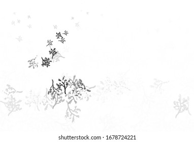 Hellgraue Vektorillustration Naturkunst mit Sakura. Farbige Illustration im Doodle-Stil mit Blättern, Ästen. Doodle Design für Ihre Website.
