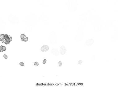 Hellgraue Vektorillustration Naturkunst mit Blumen. Blumen mit Farbverlauf-Verlauf auf weißem Hintergrund. Das beste Design für Ihr Unternehmen.