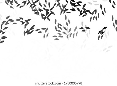 Light Gray vector natural artwork with leaves. leaves on elegant natural pattern with gradient. New design for your business.