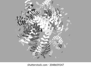 Obra de arte natural vectorial Gris claro con hojas. Una vaga ilustración abstracta con hojas al estilo de los garabatos. Una nueva textura para tu diseño de papel pintado.