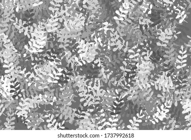 Light Gray vector natural backdrop with leaves. Shining colored illustration with leaves in doodle style. Brand new design for your business.