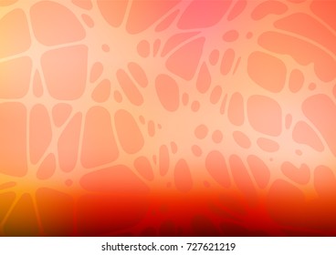 Light Gray vector natural elegant artwork. Colorful illustration in abstract style with doodles created by child. The textured pattern can be used for website.