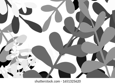 Light Gray vector natural pattern with leaves. Blurred decorative design in Indian style with leaves. The best design for your business.