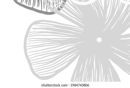 Light Gray vector natural pattern with flowers Colorful illustration with flowers in doodle style. New template for your design.