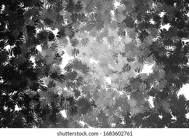 Light Gray vector pattern with sharp lines. Modern geometrical abstract illustration with Lines. Template for your beautiful backgrounds.