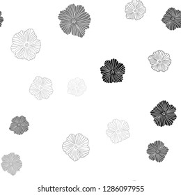 Light Gray vector seamless natural backdrop with flowers. Modern abstract illustration with flowers. Template for business cards, websites.
