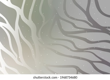 Light Gray vector template with curved lines. Colorful abstract illustration with gradient lines. Texture for booklets, leaflets.