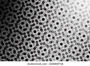 Light Gray vector texture with disks. Abstract illustration with colored bubbles in nature style. Design for poster, banner of websites.