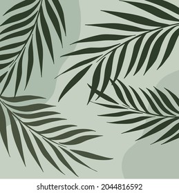 light green abstract palm leaf print design